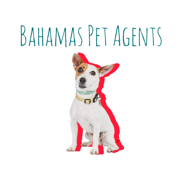 Bahamas Pet Agents 