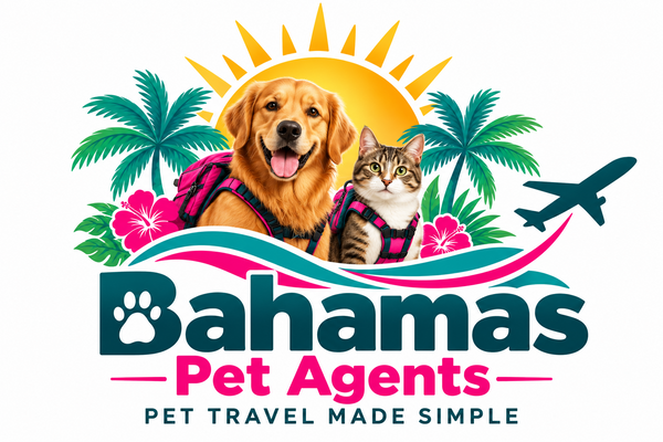 Bahamas Pet Agents — Mo and Glow, golden sun and tropical palms